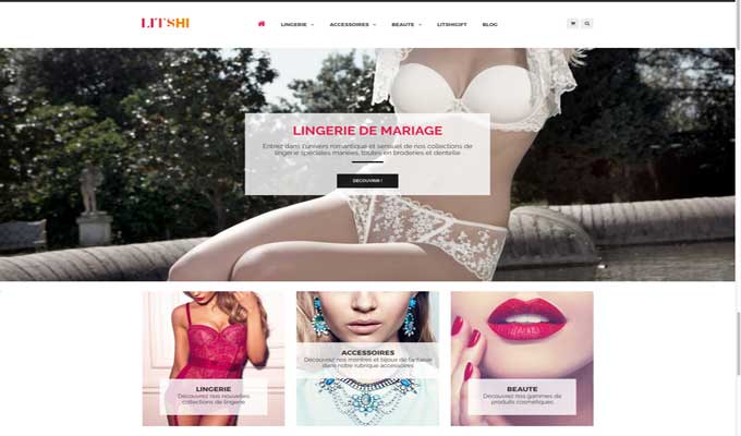 CAPTURE-ECRAN-SITE