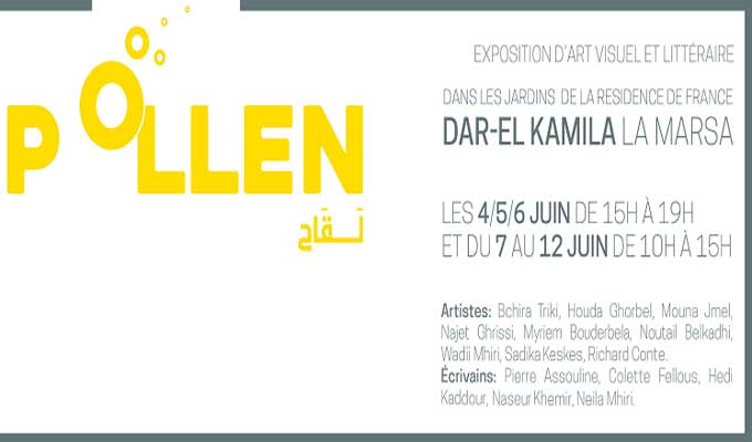 exposition-pollen