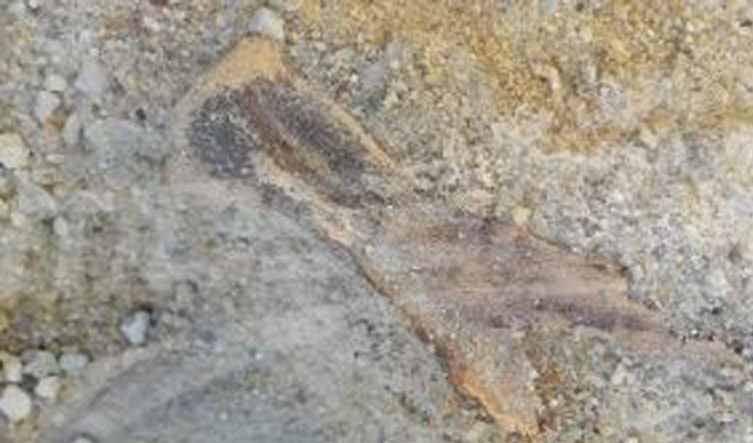 site-archeologique-nefta-tozeur