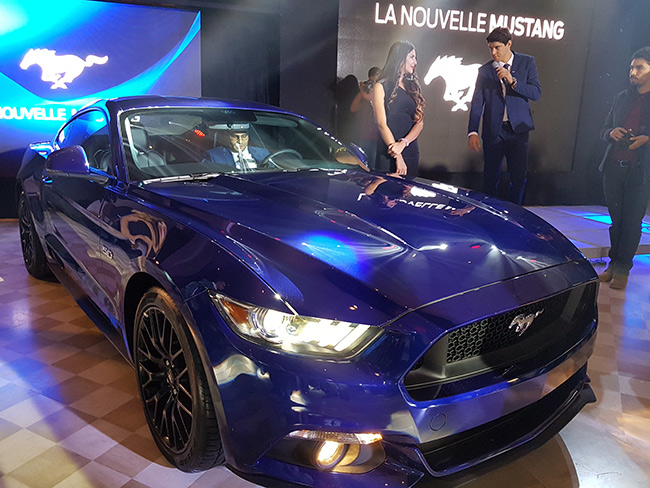 mustang