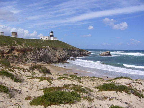 cap-angela-bizerte