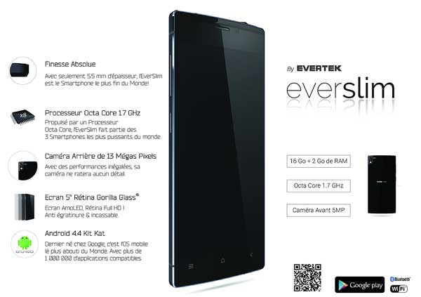 flyer-everslim-2014-01