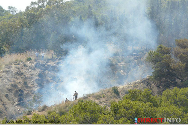 incendie-parc-ennahli-01