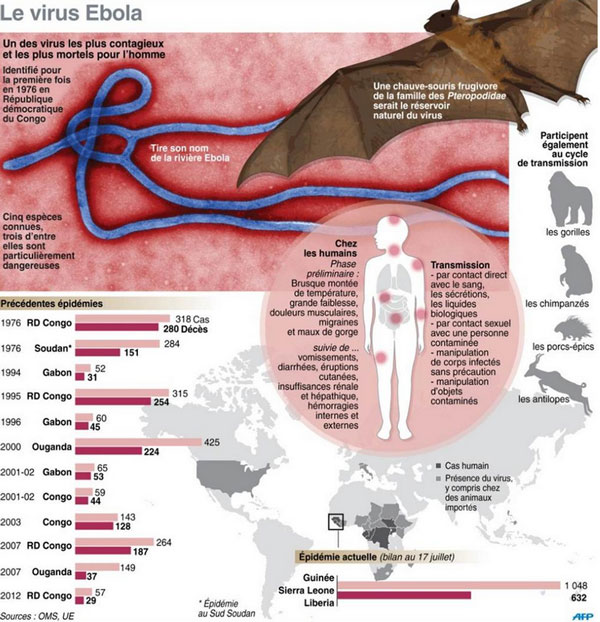 virus-ebola-info