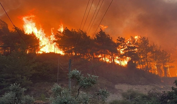 incendies tunisie