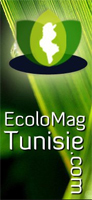 ecolmag