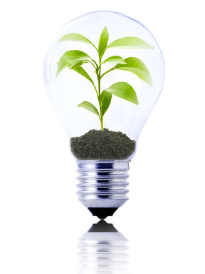 environnement-realite