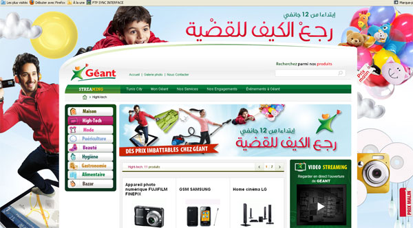 geant-web
