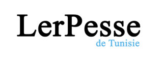 lerpressecom-site