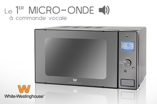 micro-onde-wave-2013