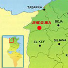 jandouba